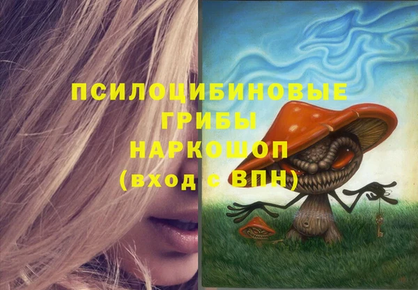 дживик Алексин