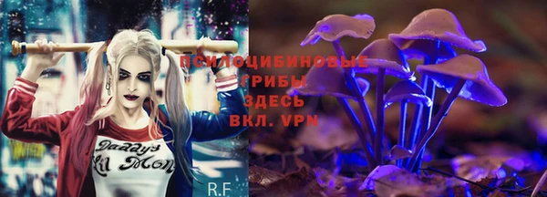 дживик Алексин